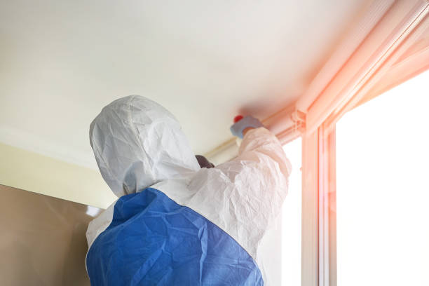 Why You Should Choose Our Mold Remediation Services in Montevallo, AL